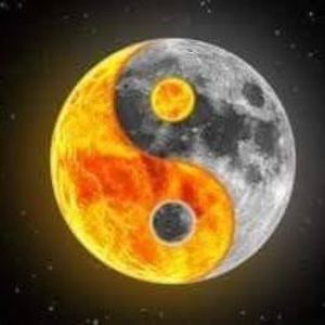 Meet your Posher, Timothy